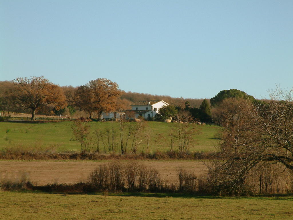 וטראלה Agriturismo Il Poggio מראה חיצוני תמונה