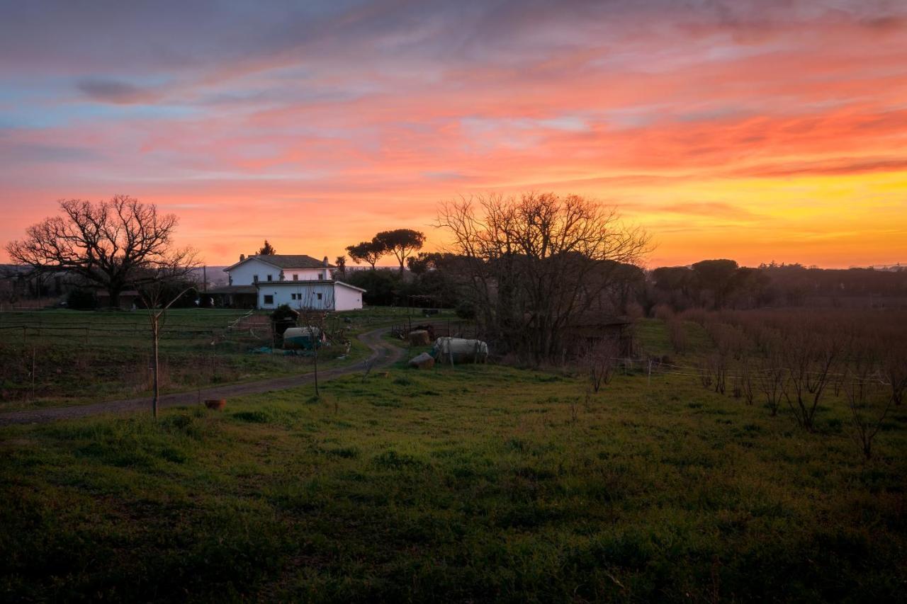 וטראלה Agriturismo Il Poggio מראה חיצוני תמונה