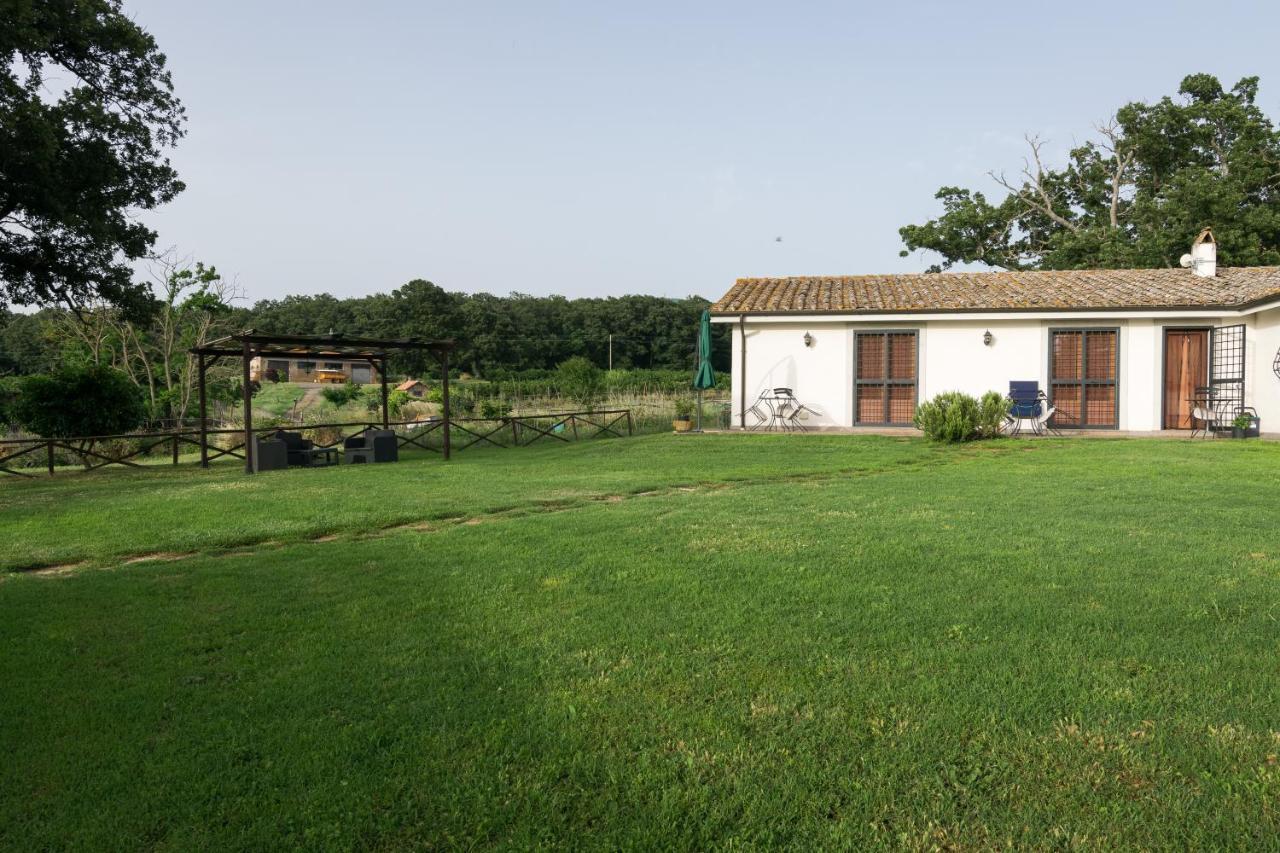 וטראלה Agriturismo Il Poggio מראה חיצוני תמונה