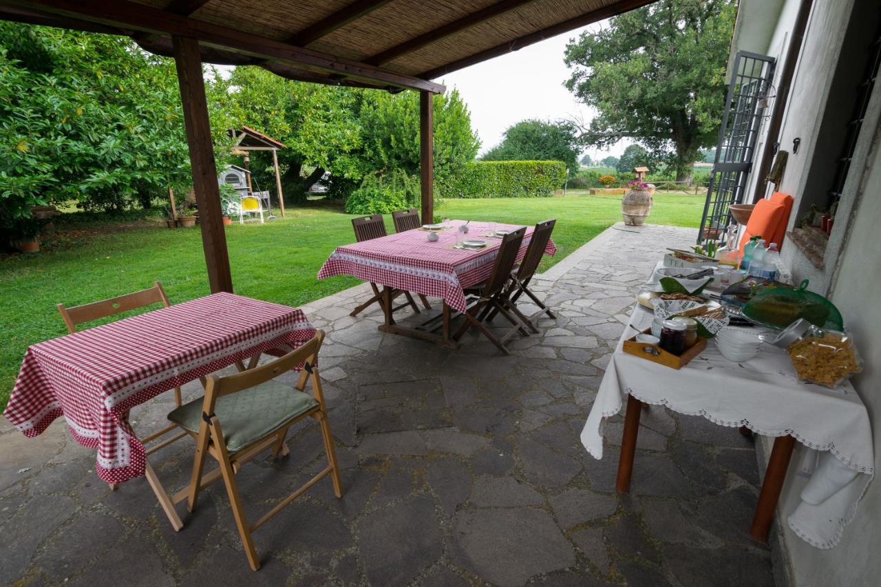 וטראלה Agriturismo Il Poggio מראה חיצוני תמונה