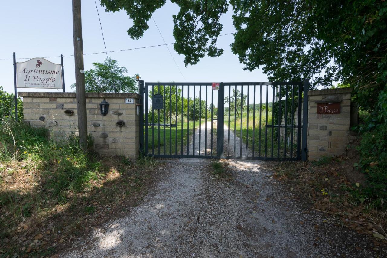 וטראלה Agriturismo Il Poggio מראה חיצוני תמונה