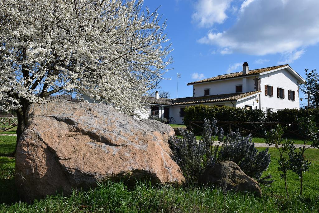 וטראלה Agriturismo Il Poggio מראה חיצוני תמונה